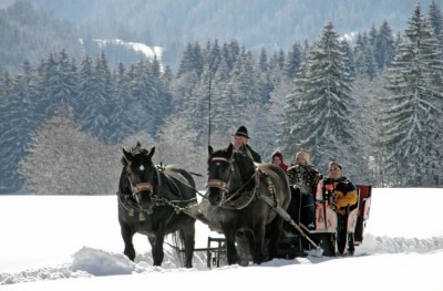 Romantische Pferdeschlittenfahrt